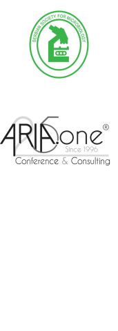 ariaone ssm logo